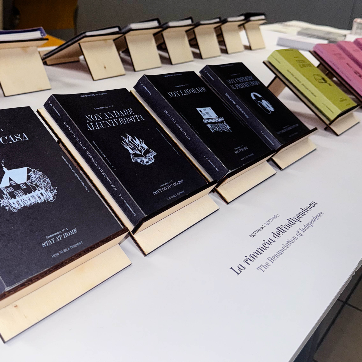 Immagine del progetto